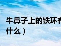 牛鼻子上的鐵環(huán)有什么用（牛鼻子上的鐵環(huán)叫什么）