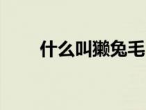 什么叫獺兔毛（獺兔毛是什么面料）