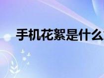 手機(jī)花絮是什么意思（花絮是什么意思）