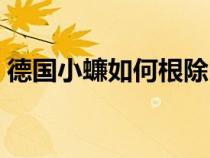 德國小蠊如何根除（德國小蠊怎么才能根除）