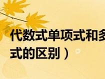 代數(shù)式單項式和多項式的區(qū)別（單項式和多項式的區(qū)別）