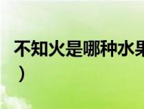 不知火是哪種水果的名字（不知火是什么水果）