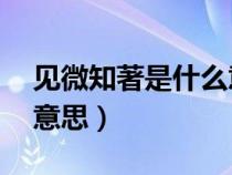 見微知著是什么意思10字（見微知著是什么意思）