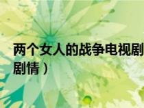 兩個(gè)女人的戰(zhàn)爭電視劇劇情大結(jié)局（兩個(gè)女人的戰(zhàn)爭電視劇劇情）