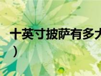 十英寸披薩有多大參照圖（十英寸披薩有多大）