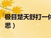 極目楚天舒打一休閑活動(dòng)（極目楚天舒什么意思）