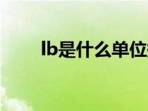 lb是什么單位換算（lb是什么單位）