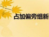 占加偏旁組新字（干加偏旁組新字）