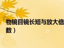 物鏡目鏡長短與放大倍數(shù)原理視頻（物鏡目鏡長短與放大倍數(shù)）