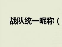 戰(zhàn)隊統(tǒng)一昵稱（戰(zhàn)隊統(tǒng)一名字格式霸氣）