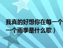 我真的好想你在每一個雨季是什么歌曲（我真的好想你在每一個雨季是什么歌）