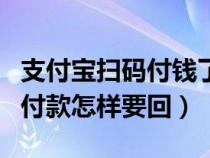 支付寶掃碼付錢(qián)了能不能追回的（支付寶掃碼付款怎樣要回）