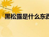 黑松露是什么東西怎么吃（黑松露是什么）