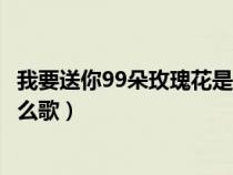 我要送你99朵玫瑰花是什么歌曲（我要送你99朵玫瑰花是什么歌）
