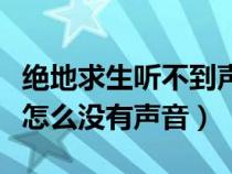 絕地求生聽不到聲音說不了話（絕地求生說話怎么沒有聲音）