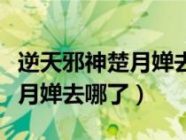 逆天邪神楚月嬋去哪了月嬋重逢（逆天邪神楚月嬋去哪了）