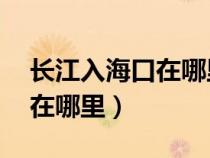 長江入?？谠谀睦?流入什么海（黃河入海口在哪里）