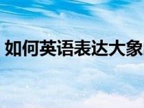 如何英語表達大象的愛（如何英語表達大象）