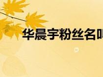 華晨宇粉絲名叫什么（華晨宇粉絲名）
