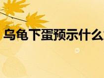 烏龜下蛋預示什么意思（烏龜下蛋預示什么）