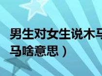 男生對女生說木馬啥意思啊（男生對女生說木馬啥意思）
