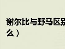 謝爾比與野馬區(qū)別（謝爾比和野馬的區(qū)別是什么）