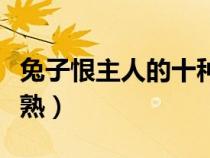 兔子恨主人的十種表現(xiàn)（兔子怎么養(yǎng)它會(huì)和你熟）