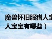 魔獸懷舊服獵人寶寶大全（魔獸世界懷舊服獵人寶寶有哪些）