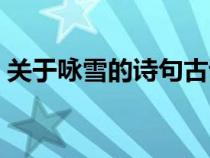 關于詠雪的詩句古詩大全（關于詠雪的詩句）