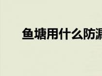 魚塘用什么防漏好（魚塘怎么防滲漏）