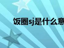飯圈sj是什么意思（飯圈sjb什么意思）