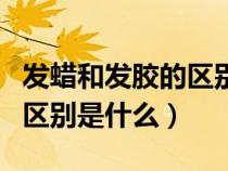 發(fā)蠟和發(fā)膠的區(qū)別是什么意思（發(fā)蠟和發(fā)膠的區(qū)別是什么）
