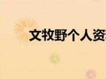 文牧野個人資料（文牧野導演簡歷）
