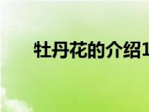 牡丹花的介紹150字（牡丹花的介紹）