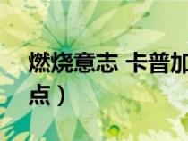 燃燒意志 卡普加點(diǎn)（燃燒意志卡普100級加點(diǎn)）