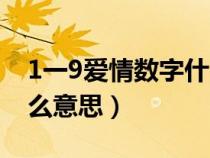 1一9愛情數(shù)字什么意思啊（1一9愛情數(shù)字什么意思）