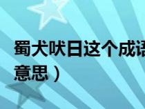 蜀犬吠日這個成語比喻什么（蜀犬吠日是什么意思）