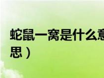 蛇鼠一窩是什么意思出處（蛇鼠一窩是什么意思）