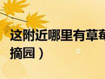 這附近哪里有草莓采摘園（附近哪里有草莓采摘園）