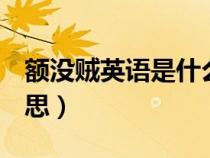 額沒賊英語(yǔ)是什么意思（英語(yǔ)meto是什么意思）