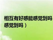 相互有好感能感覺到嗎 一個(gè)眼神告訴你答案（相互有好感能感覺到嗎）