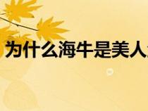 為什么海牛是美人魚（海牛為什么叫美人魚）