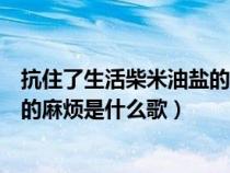 抗住了生活柴米油鹽的麻煩歌詞來自哪里（抗住了柴米油鹽的麻煩是什么歌）