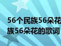 56個民族56朵花的歌詞是什么效應(yīng)（56個民族56朵花的歌詞）