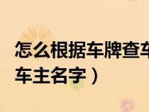 怎么根據(jù)車牌查車主姓名（如何通過車牌查詢車主名字）