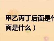 甲乙丙丁后面是什么順序帶拼音（甲乙丙丁后面是什么）
