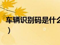 車輛識別碼是什么查詢（車輛的識別碼是什么）