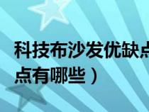 科技布沙發(fā)優(yōu)缺點(diǎn)有哪些呢（科技布沙發(fā)優(yōu)缺點(diǎn)有哪些）