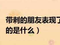 帶刺的朋友表現(xiàn)了什么（帶刺的朋友的理解指的是什么）