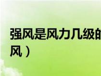強風是風力幾級的風力?。◤婏L是風力幾級的風）